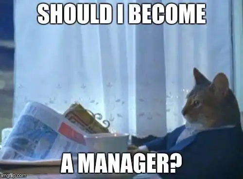 Should I become a manager meme