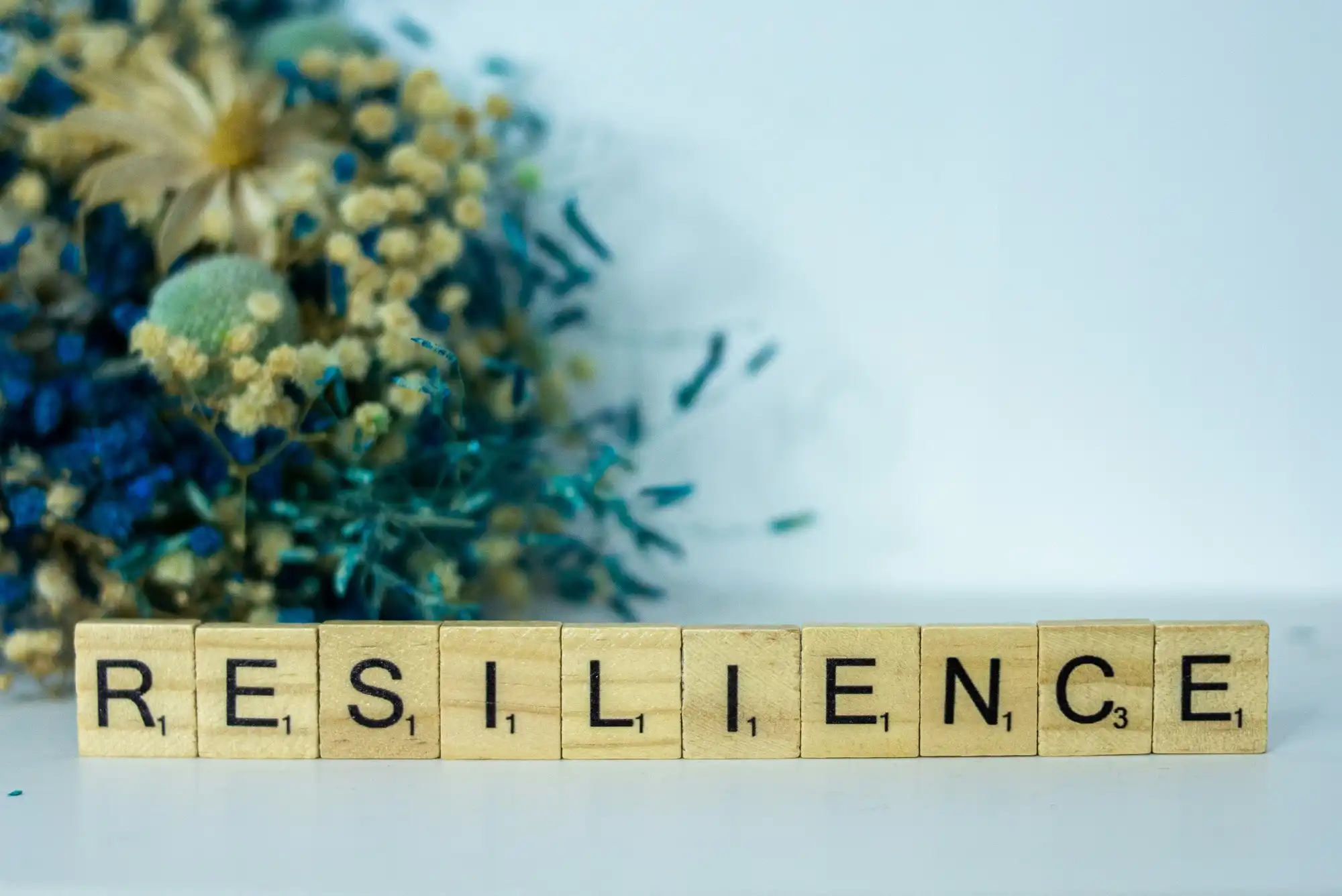 words resilience